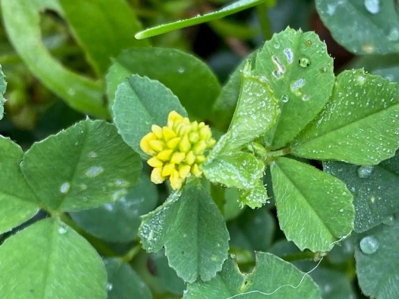 September news – we’ve been&nbsp;busy!