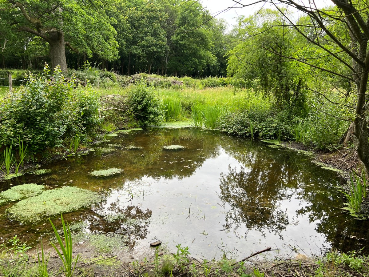 We’ve been busy! A news round-up for summer&nbsp;2026
